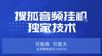 【搜狐音频挂G】独家技术，可矩阵可放大，红利期稳定月入8k【揭秘】-九零网创