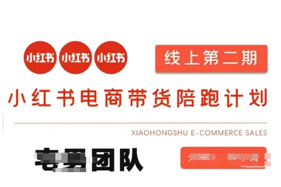 小红书电商带货课2期，月利润20个的小红书电商的有货源，无货源，虚拟产品，付费投流等整套玩法-九零网创