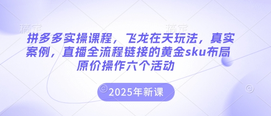 拼多多实操课程，飞龙在天玩法，真实案例，直播全流程链接的黄金sku布局原价操作六个活动-九零网创