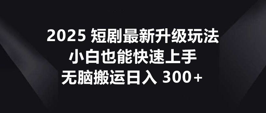 2025短剧最新升级玩法，小白也能快速上手，无脑搬运日入300+-九零网创