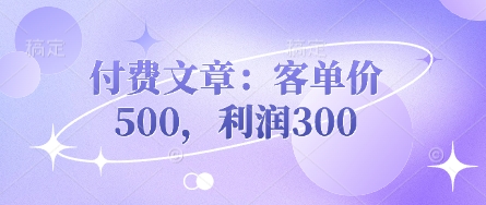 付费文章：客单价500，利润300-九零网创