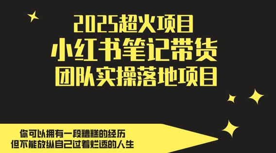 2025超火项目，副业最佳选择，小红书笔记带货团队实操落地项目，，轻松日入5张-秦汉日记