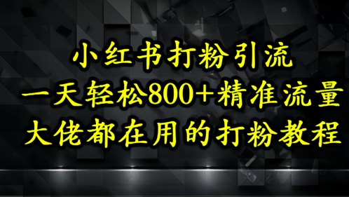 小红书打粉引流，一天轻松500+精准流量，大佬都在用的打粉教程-秦汉日记