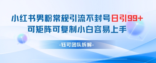 小红书男粉常规引流不封号日引99+变现简单 可矩阵可复制小白容易上手-秦汉日记