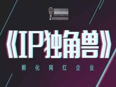 IP独角兽，孵化网红企业，ip教程-秦汉日记
