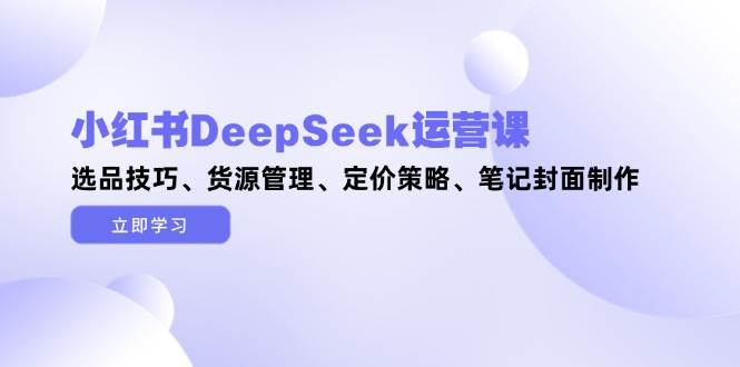 小红书DeepSeek运营课，选品技巧、货源管理、定价策略、笔记封面制作-秦汉日记