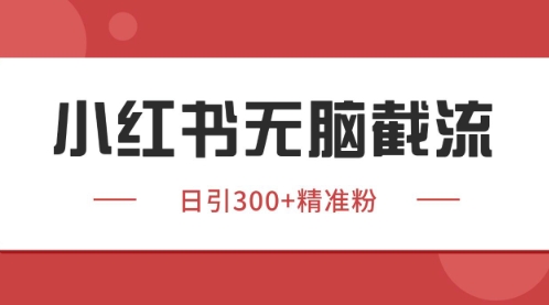 小红书只要你有同行就能获客，独家野路子获客玩法，暴力截流【揭秘】-秦汉日记