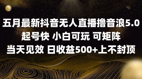 2025五月最新无人直播撸音浪单日产出5张+实操教程【揭秘】-秦汉日记