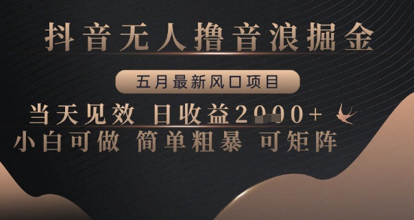 抖音无人撸音浪掘金，五月最新风口项目，当天见效，日收益多张，小白可做简单粗暴可矩阵【揭秘】-秦汉日记
