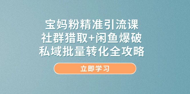 宝妈粉精准引流课，社群猎取+闲鱼爆破，私域批量转化全攻略-秦汉日记