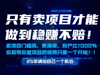 只有卖项目才能做到稳挣不赔，门槛低，更简单，你也可以年入百个W【揭秘】-秦汉日记