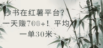 抄书在小红薯平台？平均一单30米，一天收益几张！-秦汉日记