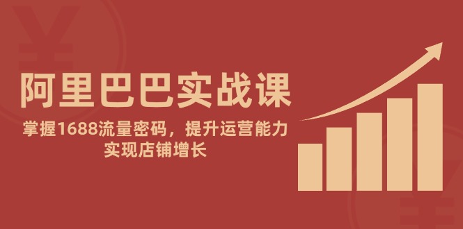 阿里巴巴实战课：掌握1688流量密码，提升运营能力，实现店铺增长-秦汉日记