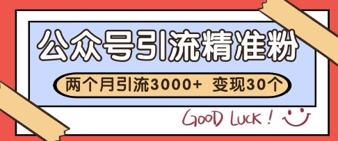 公众号精准粉引流玩法，2个月3000+精准粉，变现30个W【揭秘】-秦汉日记