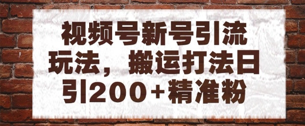视频号新号引流玩法，搬运打法日引200+精准粉，可矩阵放大【揭秘】-秦汉日记
