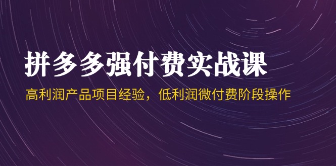 拼多多强付费实战课-44期，高利润产品项目经验，低利润微付费阶段操作-秦汉日记
