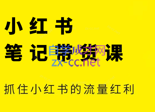 张宾·小红书笔记带货课(更新5月)-秦汉日记