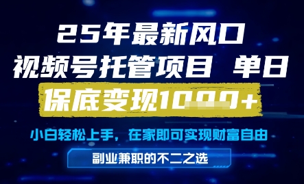 25年最新风口，视频号托管项目，单日保底变现1k+，手把手教学【揭秘】-秦汉日记