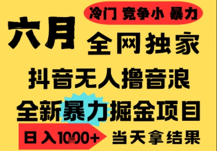 25年6月高爆抖音无人直播最新撸音浪掘金项目，小白可做，无脑日入1k+，门槛低可批量矩阵【揭秘】-秦汉日记