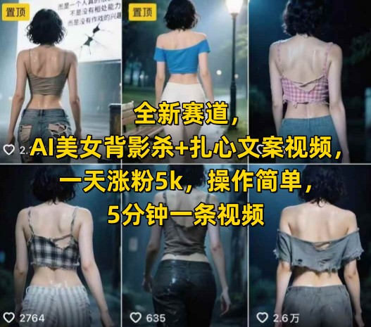 全新赛道，AI美女背影杀+扎心文案视频，一天涨粉5k，操作简单，5分钟一条视频-秦汉日记