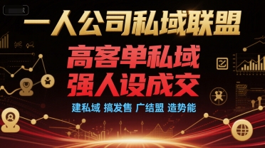 一人公司私域联盟，高客单私域，强人设成交，建私域 搞发售 广结盟 造势能-秦汉日记