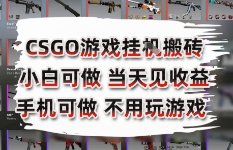 CSGO游戏挂G搬砖，小白纯手机即可操作，不用电脑打游戏，日入3张+，副业网创项目【揭秘】-秦汉日记