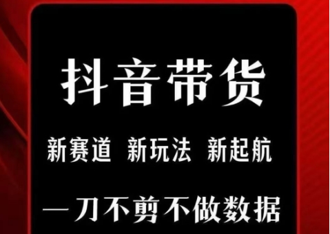 抖音短视频一刀不剪带货，不剪辑，不直播，每天发个视频，等着出单获取带货佣金-秦汉日记