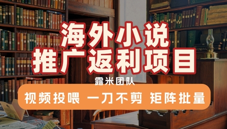 海外小说推广返利项目，视频投喂， 一刀不剪，矩阵批量-秦汉日记