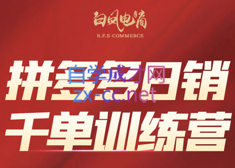 白凤电商·拼多多日销千单训练营(更新7月)-秦汉日记
