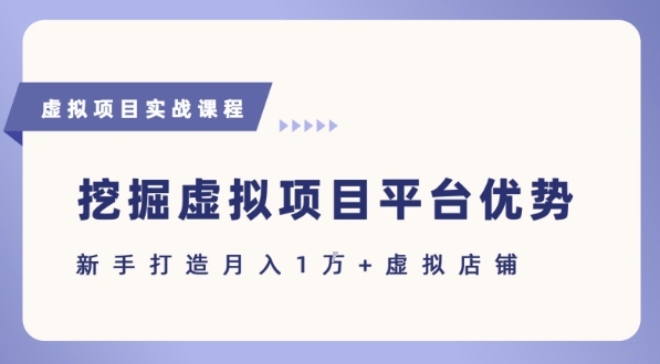 抓住虚拟项目各平台优势，新手轻松月入1W+(给出具体建议)-秦汉日记