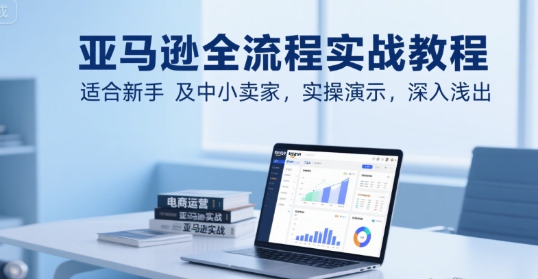 亚马逊全流程实战教程，适合新手及中小卖家，实操演示，深入浅出-秦汉日记