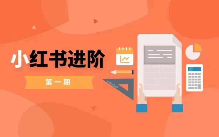 小红书进阶篇，零基础小白实战课，普通人变现的课程-九零网创
