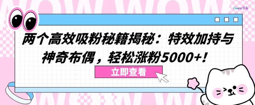 两个高效吸粉秘籍揭秘：特效加持与神奇布偶，轻松涨粉5000+-九零网创