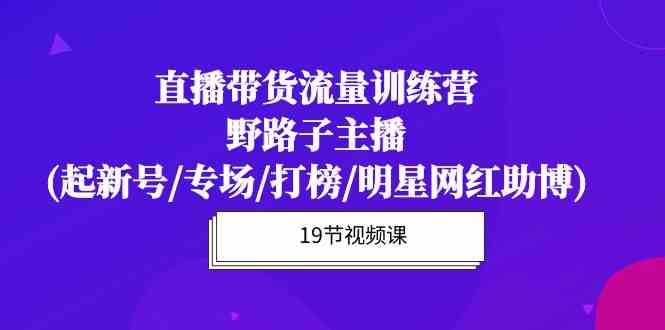 直播带货流量特训营，野路子主播(起新号/专场/打榜/明星网红助博)-九零网创