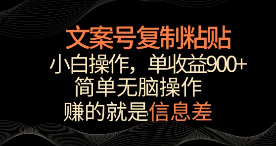 文案号掘金，简单复制粘贴，小白操作，单作品收益900+-九零网创
