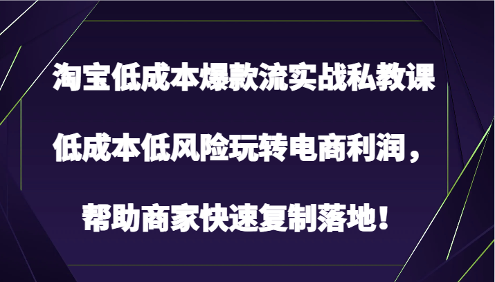 淘宝低成本爆款流实战私教课，低成本低风险玩转电商利润，帮助商家快速复制落地！-九零网创