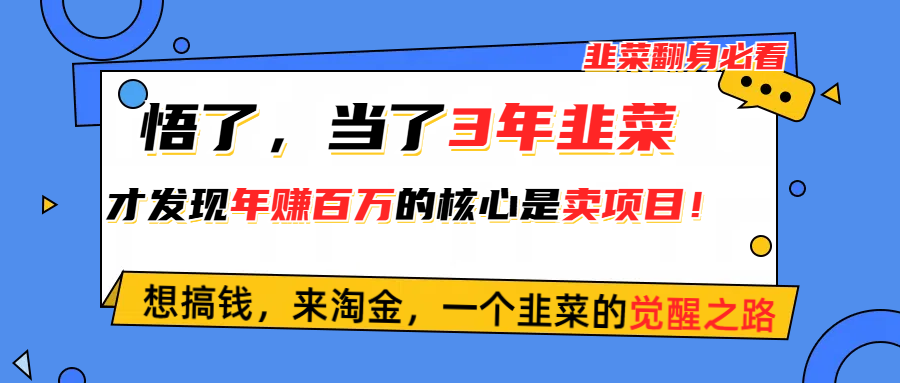 （10759期）悟了，当了3年韭菜，才发现网赚圈年赚100万的核心是卖项目，含泪分享！-九零网创