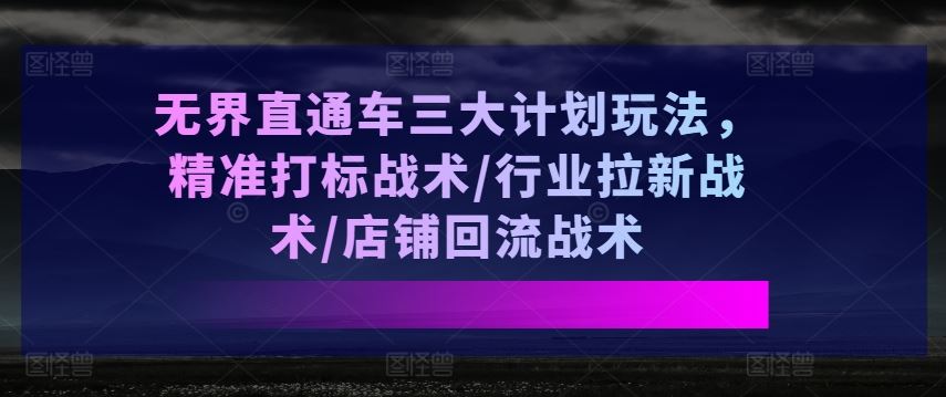 无界直通车三大计划玩法，精准打标战术/行业拉新战术/店铺回流战术-九零网创