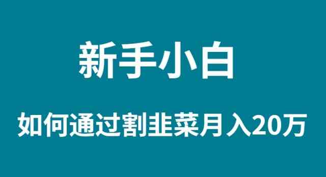 （9308期）新手小白如何通过割韭菜月入 20W-九零网创