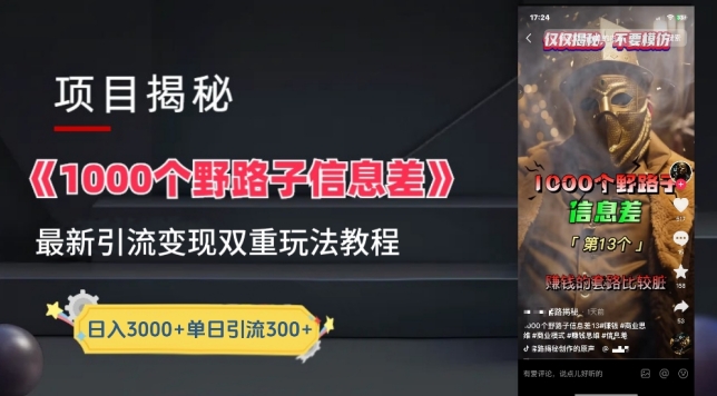 一千个野路子信息差最新玩法教程-变现+引流的玩法具体拆解-九零网创