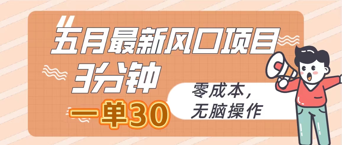 （10256期）五月最新风口项目，3分钟一单30，零成本，无脑操作-九零网创