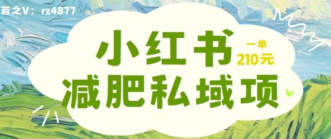 小红书减肥粉，私域变现项目，一单就达210元，小白也能轻松上手【揭秘】-九零网创