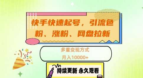 快手快速起号，引流s粉、涨粉、网盘拉新多重变现方式，月入1w【揭秘】-九零网创