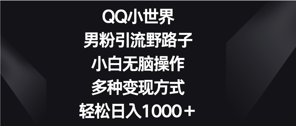 QQ小世界男粉引流野路子，小白无脑操作，多种变现方式轻松日入1000＋-九零网创