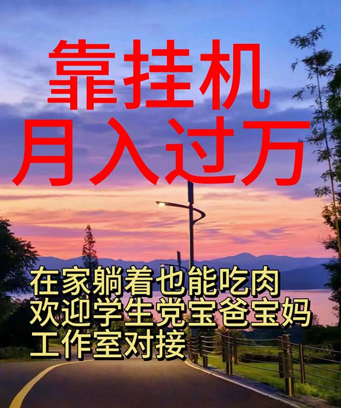 （10838期）靠挂机，日入1000+，躺着也能吃肉，适合宝爸宝妈学生党工作室，电脑手…-九零网创