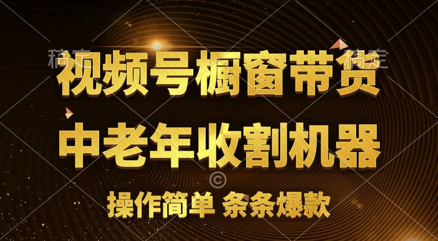 （11009期）[你的孩子成功取得高位]视频号最火爆赛道，橱窗带货，流量分成计划，条…-九零网创