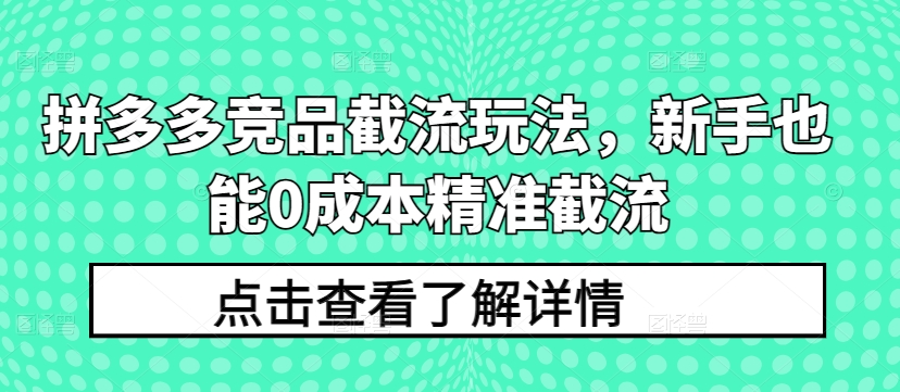 拼多多竞品截流玩法，新手也能0成本精准截流-九零网创