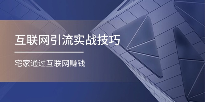互联网引流实操技巧(适合微商，吸引宝妈)，宅家通过互联网赚钱（17节）-九零网创