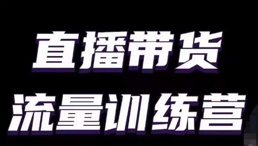 直播带货流量训练营，小白主播必学直播课-九零网创