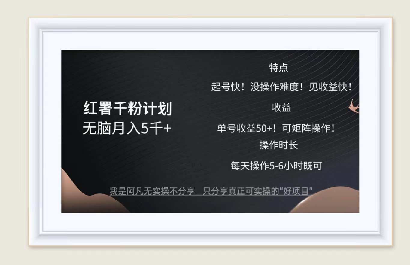 （12560期）红薯千粉计划无脑月入5千+！既做既赚！-九零网创